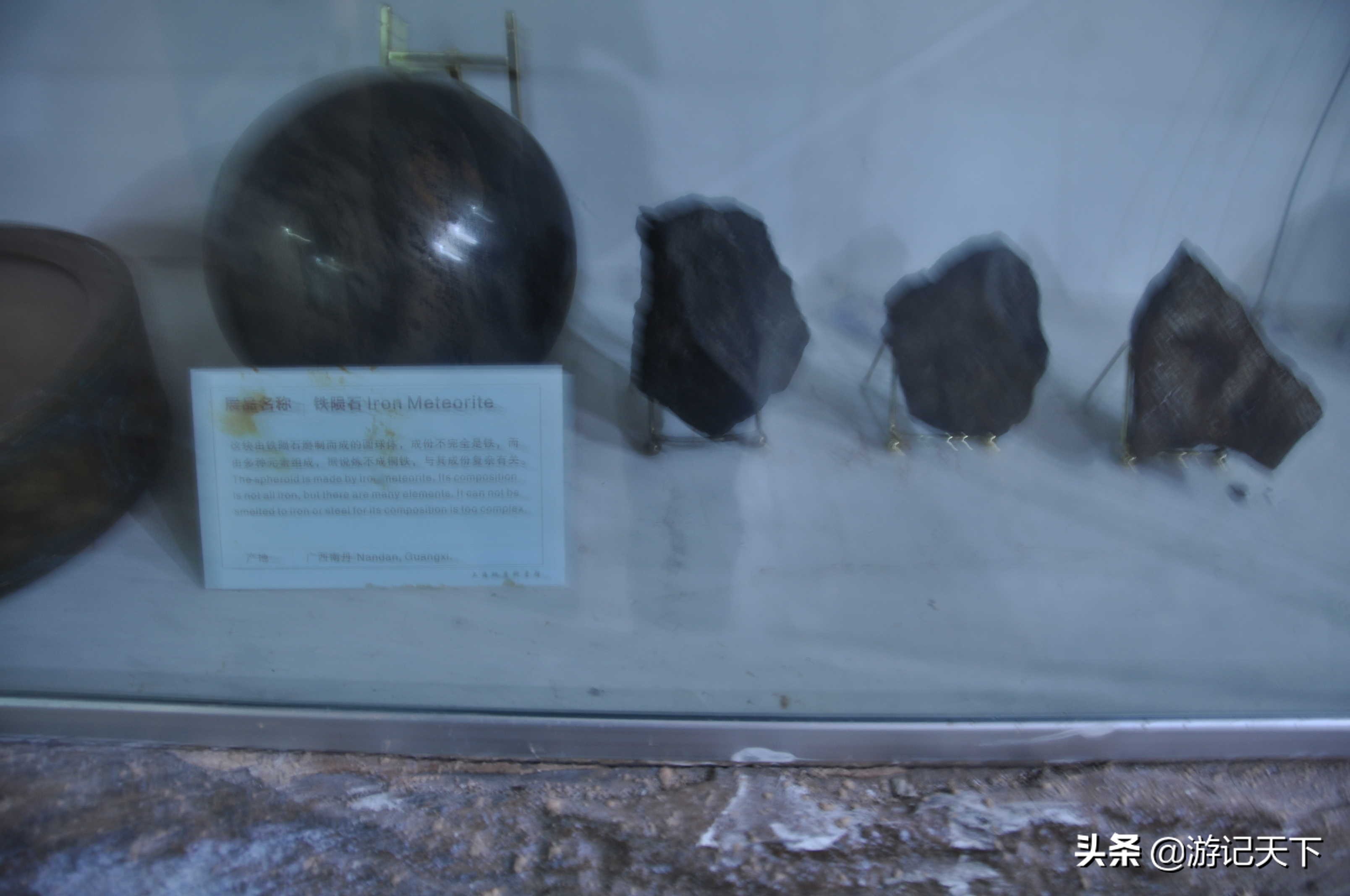 阿尼亚参观博物馆,上海地质科普馆游玩