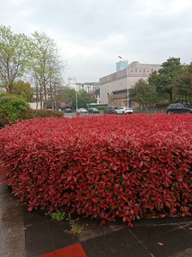 用文言文说学习秘诀,点拨怎么使用