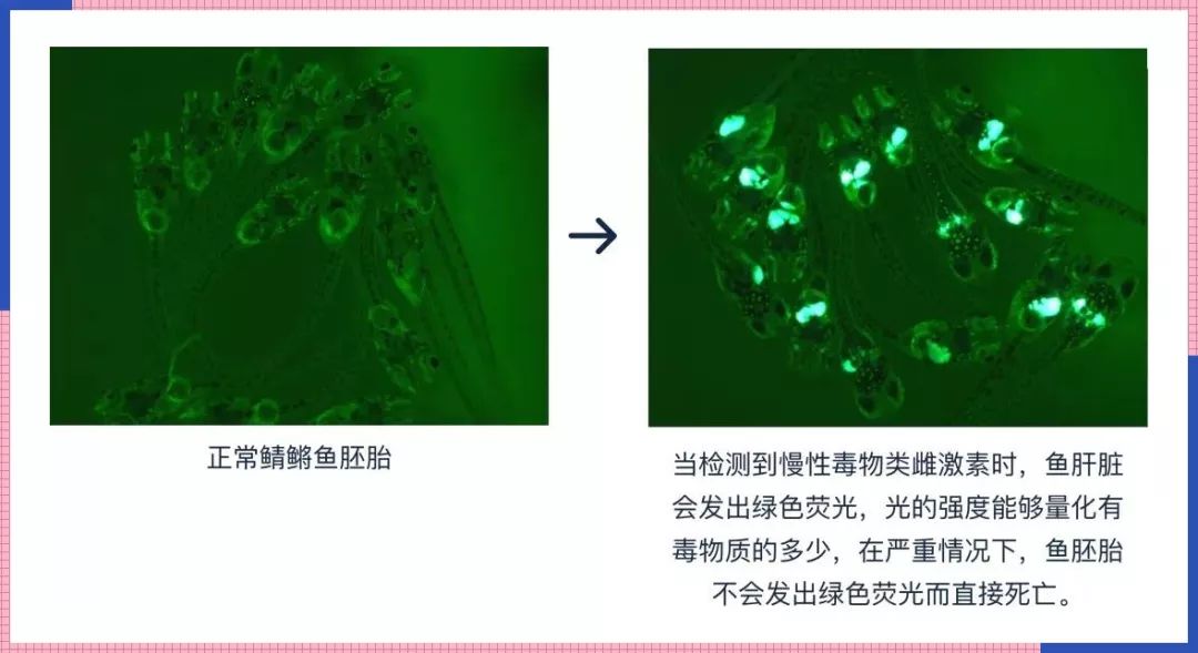 国货眼霜推荐前十名小红书,小红书里超补水的眼霜有哪些