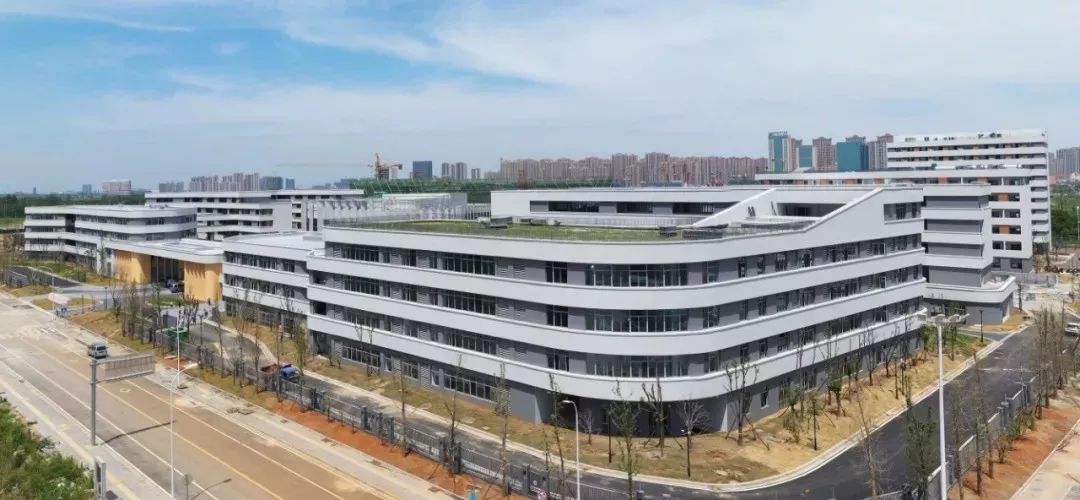 宁波学校开学时间最新消息,宁波中小学迎来开学