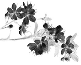 测谎仪实际上能看穿多少谎言,测谎仪真的可以测出来吗