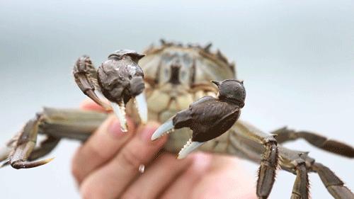 不到一块钱就能吃到的美食,好吃的秃黄油