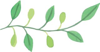 考研西交大攻略,考研秘籍第一步