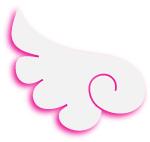 新西兰幼教移民,大龄新西兰留学移民