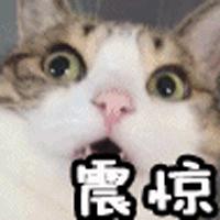 斯维诗蔓越莓真的治妇科病吗,蔓越莓治妇科病