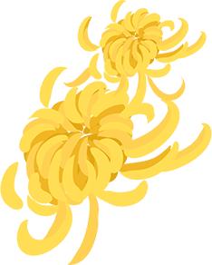 「重阳节」献给爸妈的防骗宝典