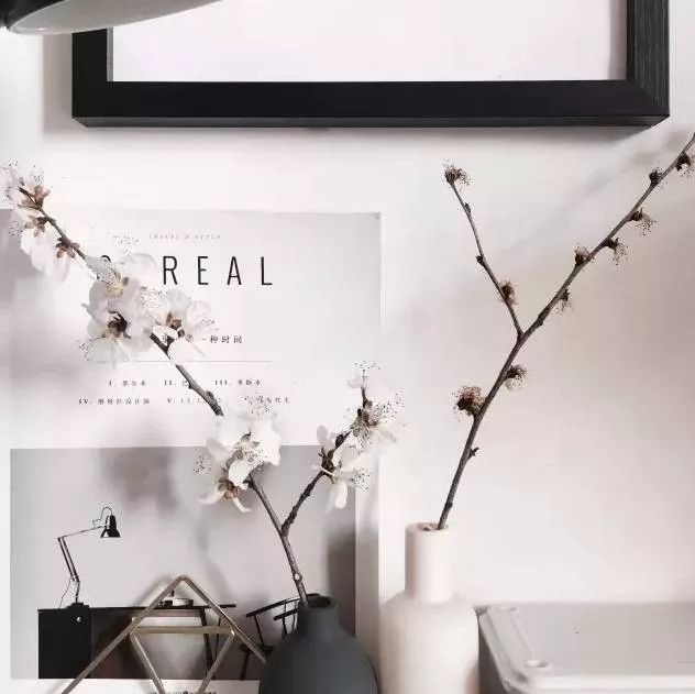 多种花材该如何插花,插花必备的几种花