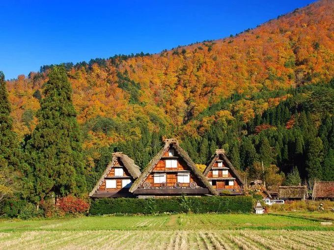 上海赏枫小众景点,小众赏枫