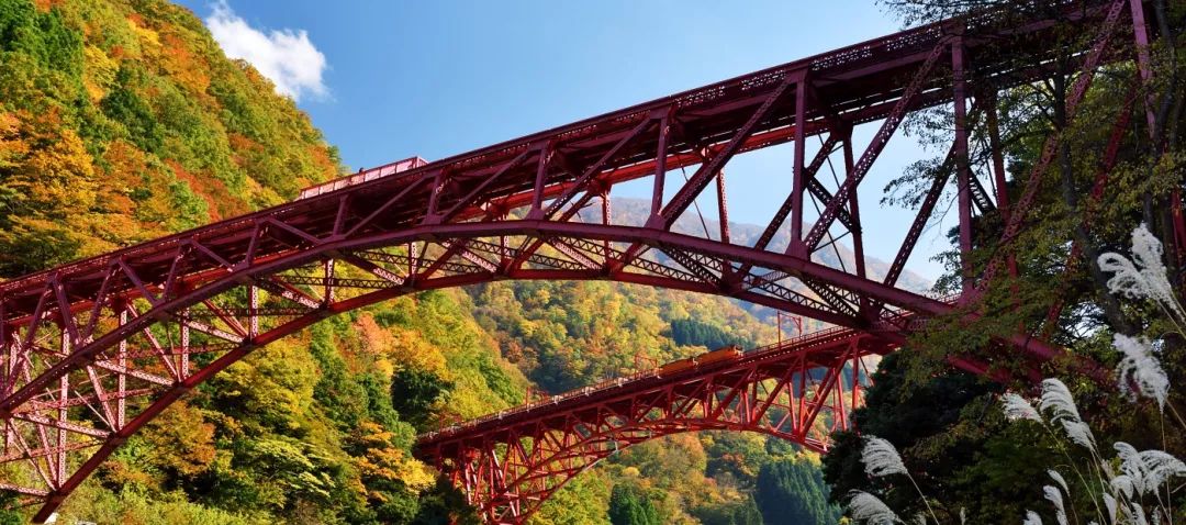 上海赏枫小众景点,小众赏枫