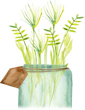 今日清明雨初晴,今日清明共寄哀思