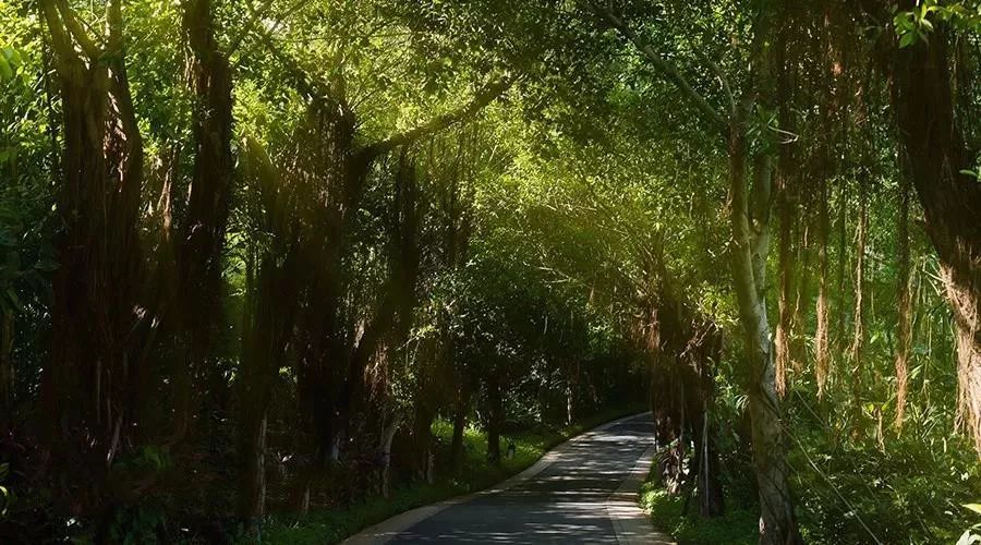 三亚豪华无边泳池别墅,三亚温泉度假