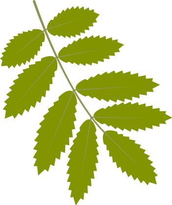 致同学们的一封信四年级,致同学们的一封信柳河县