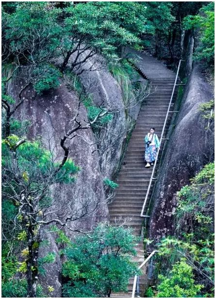 三清山游客评论,三清山评价