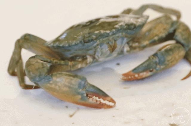 开了23年的黑料界大佬疯了！YSL、TF、Dior大牌口红免费抓！