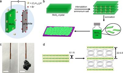 《自然》（20181011出版）一周论文导读