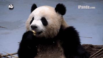 我英语不好你会说中文吗怎么说,myenglishispoor哪来的说法