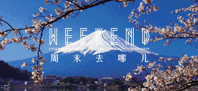 福利｜站住，别走！我请你喝酒可好？