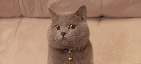 森马集团旗下所有品牌,森马集团旗下品牌森马