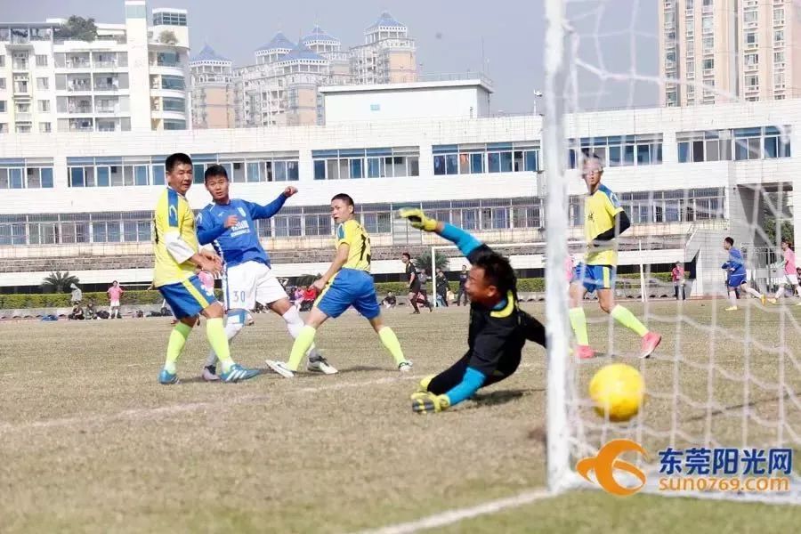 东莞龙舟锦标赛死亡之组,2024东莞篮球联赛死亡之组