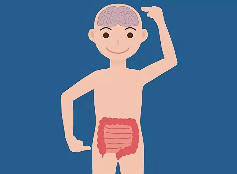 大米阿姨,东北大米阿姨视频