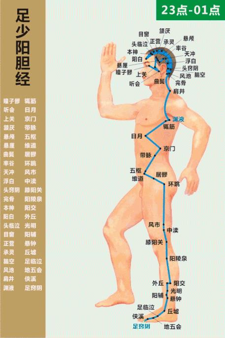 经络最全动图,经络高清穴位大图