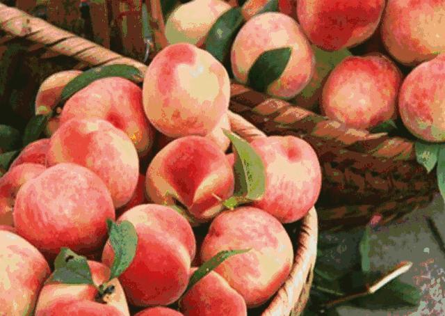 绵阳仙海旅游必买清单,绵阳来仙海