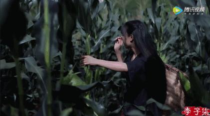 中国最美李子柒,最美村姑李子柒