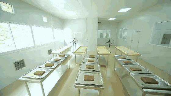 纳桑红糖双十一,纳桑新款