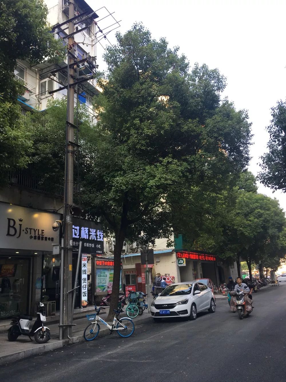 「3838110」华兴街香樟树繁茂挡光，可以修剪吗？