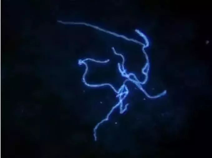 两个女孩合租一个房间得病,两个女生合租一个房子得病