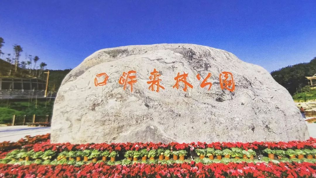 「推荐」刷屏！这是我眼中的边境河口