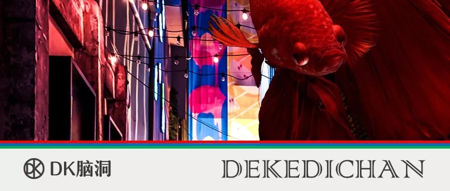 眼袋与卧蚕︱DK脑洞041