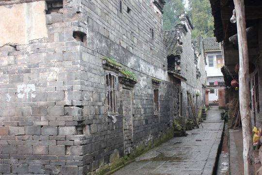 大竹县民国林氏宗祠,大竹县江家大院