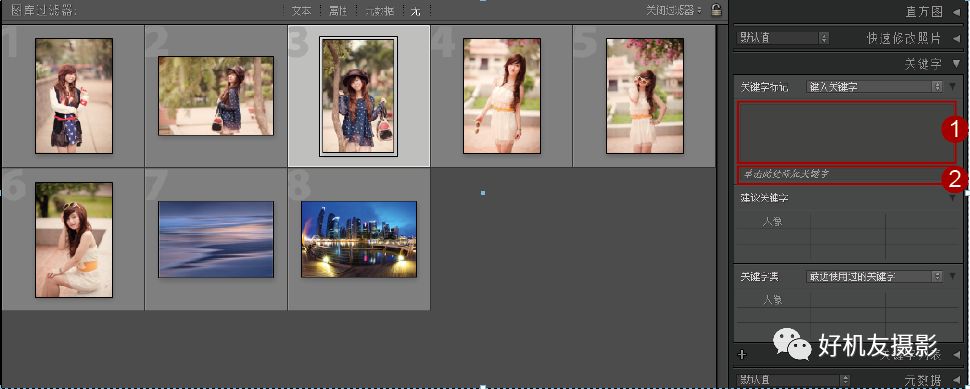 Lightroom学习连载4——浏览与管理照片的方法讲解