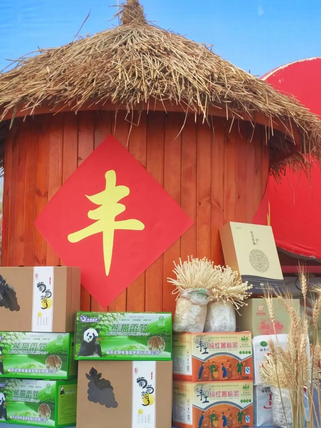 魅力中国城崇左vs大足视频,魅力中国城让你知道