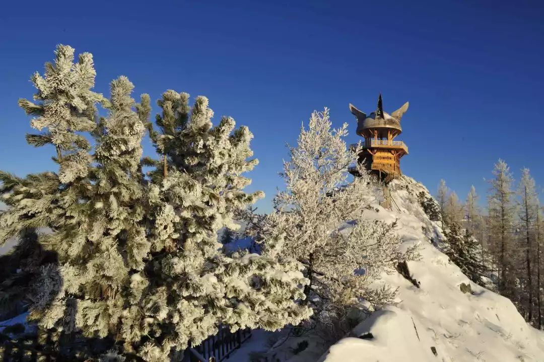 最新复航通知乌鲁木齐到贵阳,乌鲁木齐洛阳曼谷航线4月12日复航