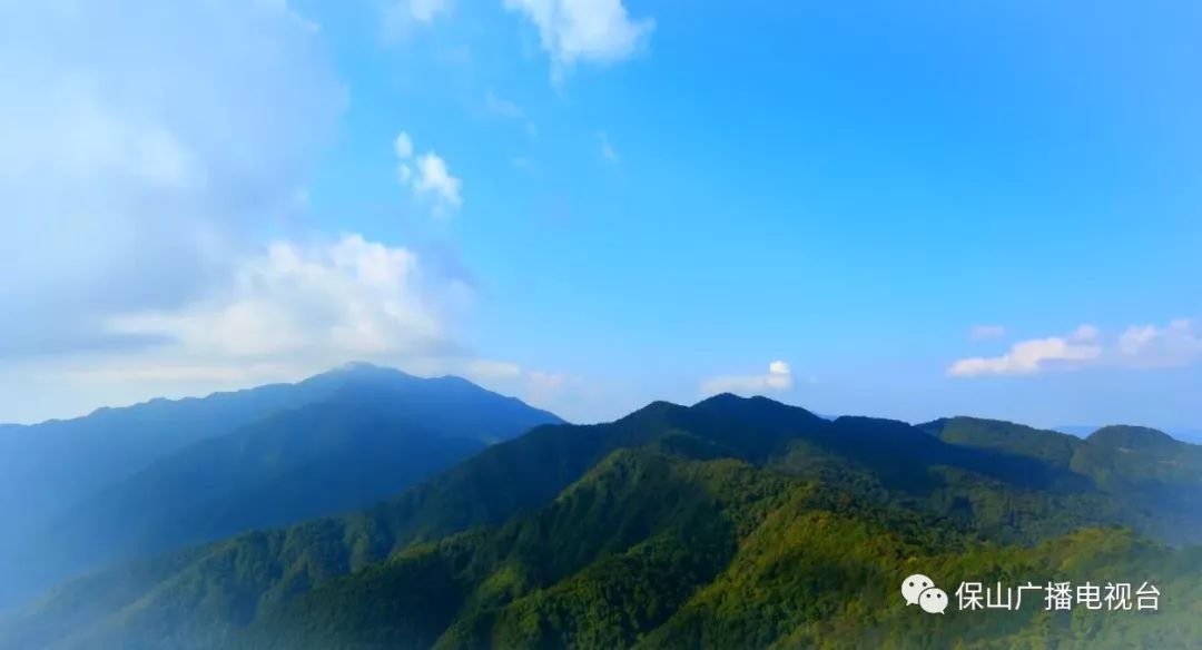 龙陵石斛产业合作,龙陵镇石斛