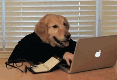 国医大师王琦：养生就要多工作、少进补