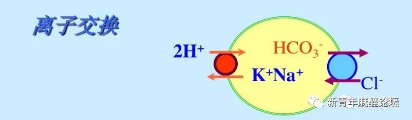 如何做好血气分析结果判读?教程来了……