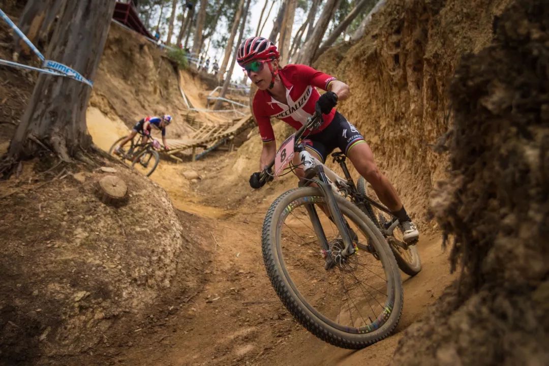 24款山地车推荐性价比之王,2024款12速山地车推荐