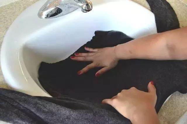 毛衣爱粘毛怎么处理,白色毛衣掉毛毛怎么去掉