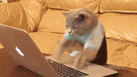 大乐透买足彩,体彩大乐透能在线买吗