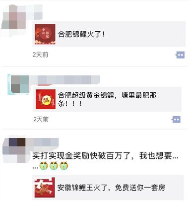 提醒|还在转发锦鲤?小心做一条受骗的草鱼