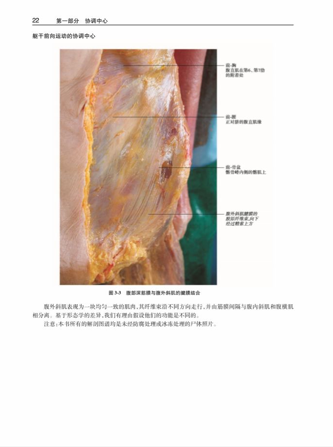 绛嬭啘鎵嬫硶瀹炵敤鎸囧崡txt,绛嬭啘鎵嬫硶瀹炶返鎿嶄綔pdf