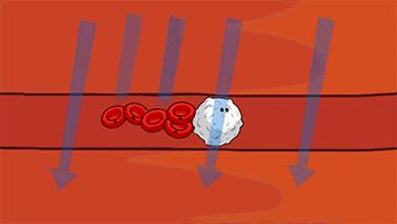 挥拍类运动为啥对心血管有好处,挥拍运动抗癌