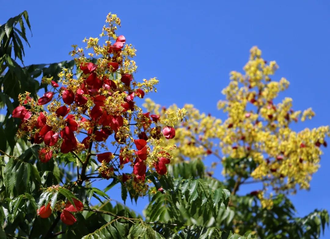 带你看美丽的厦门海边美景,厦门海洋最美丽的风景