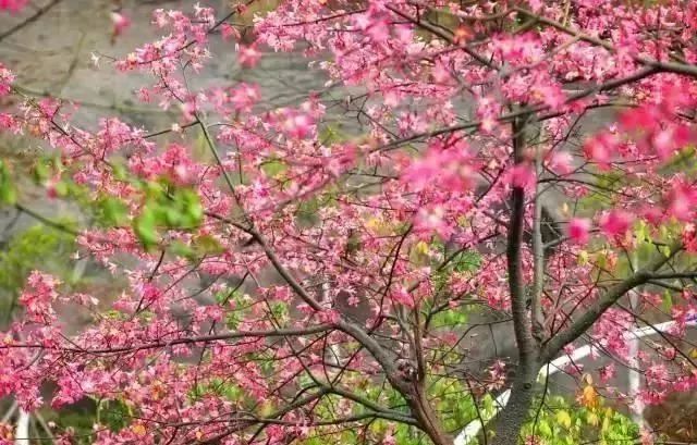 带你看美丽的厦门海边美景,厦门海洋最美丽的风景