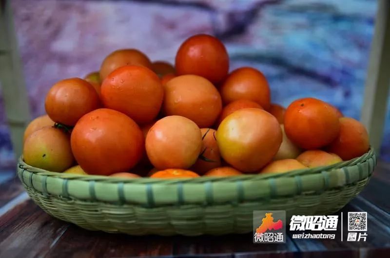 云南彝良苗族相亲,云南昭通彝良00后女孩相亲