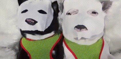 别乱买了,面膜真正的作用就这一个……