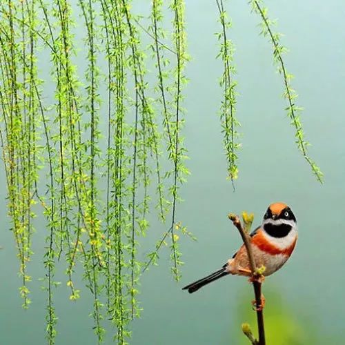 书讯最新消息,书讯大全免费阅读